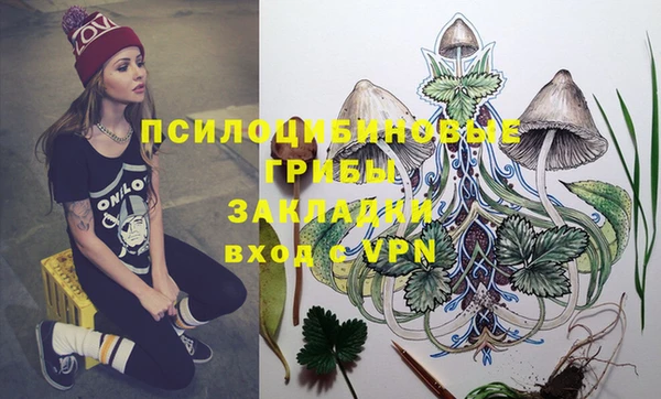 дживик Осташков