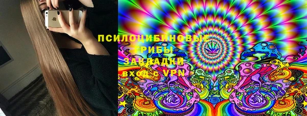 apvp Арсеньев