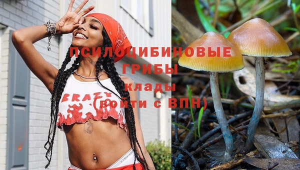 apvp Арсеньев
