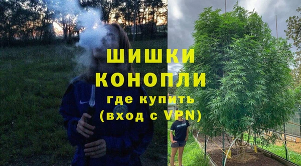 apvp Арсеньев