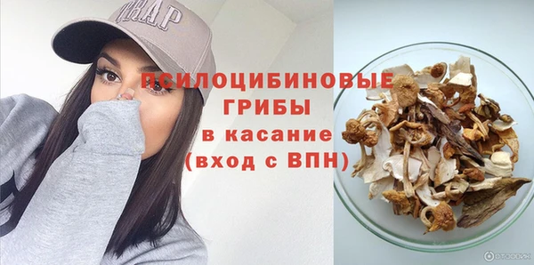 прущий лед Аркадак