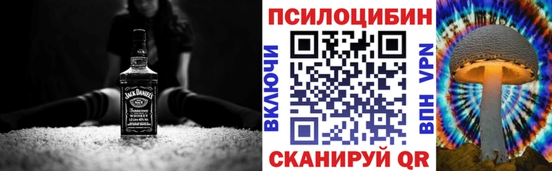 Галлюциногенные грибы прущие грибы  сколько стоит  Советск 